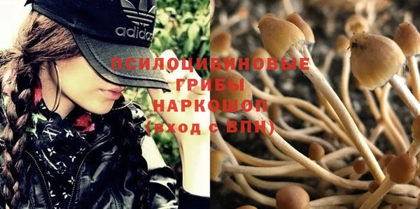 каннабис Дмитриев