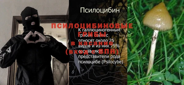каннабис Дмитриев