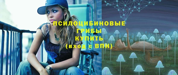 марки lsd Дмитровск