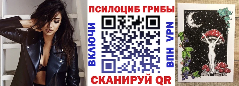 Купить  Ипатово  Галлюциногенные грибы GOLDEN TEACHER 