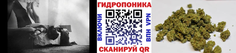 Купить  Ипатово  МАРИХУАНА OG Kush 